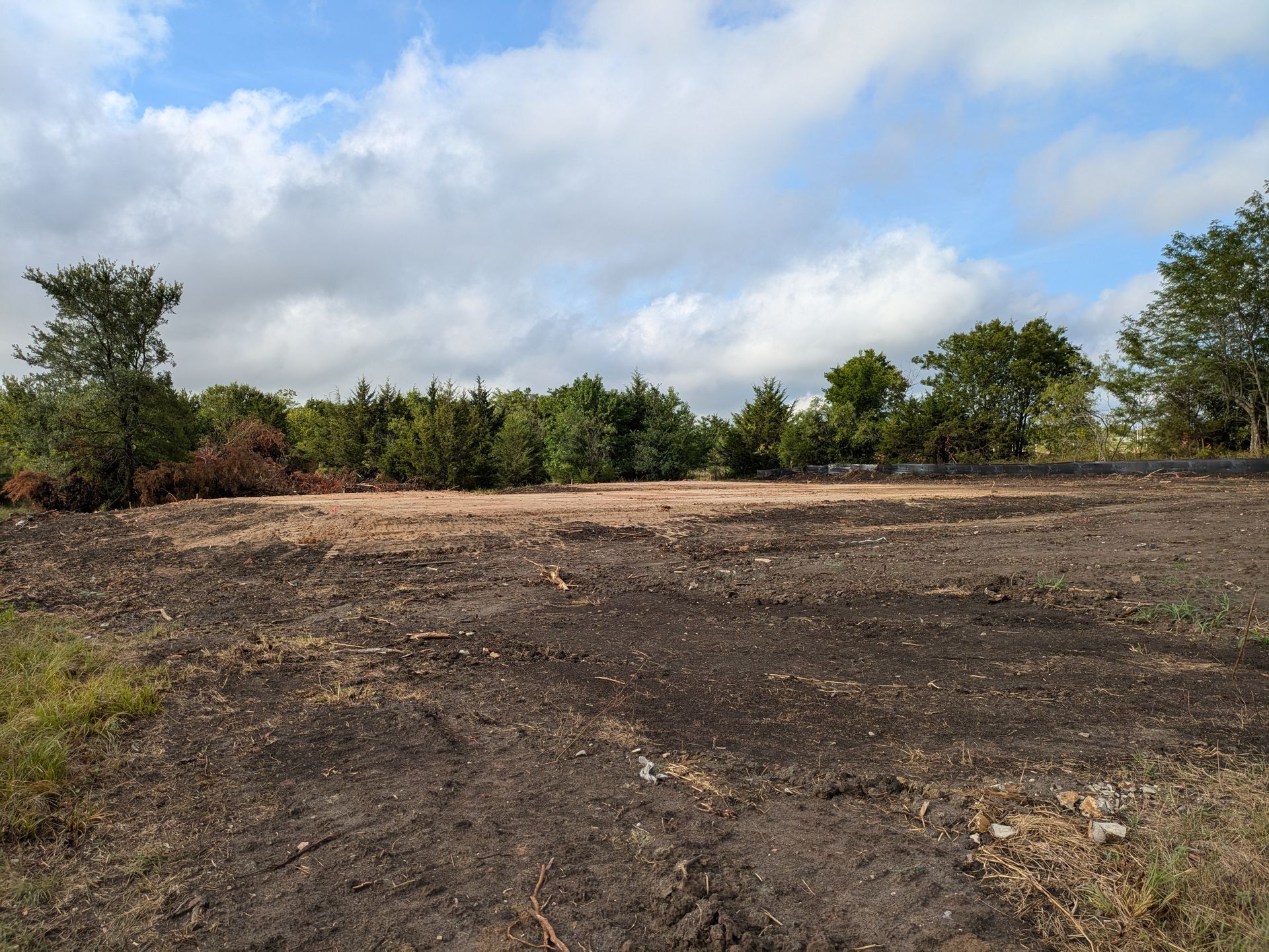 Clearing in a field, dark earth, surrounded by trees under a cloudy sky.
