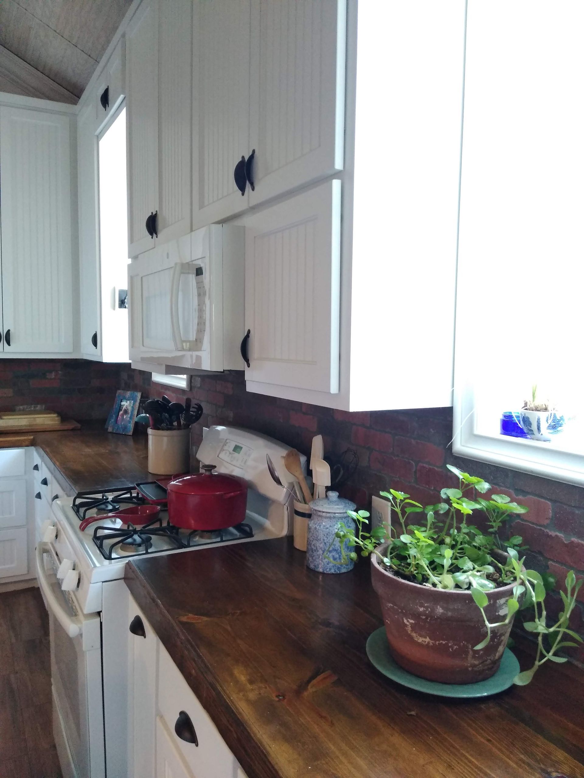 A kitchen with white cabinets and a potted plant on the counter