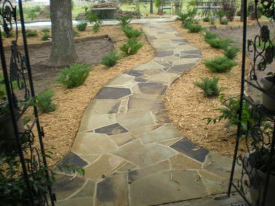 A stone walkway is surrounded by plants and trees.
