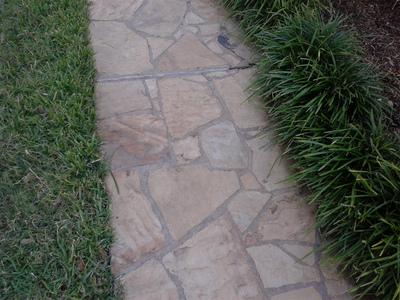 A stone walkway leading to a grassy area.
