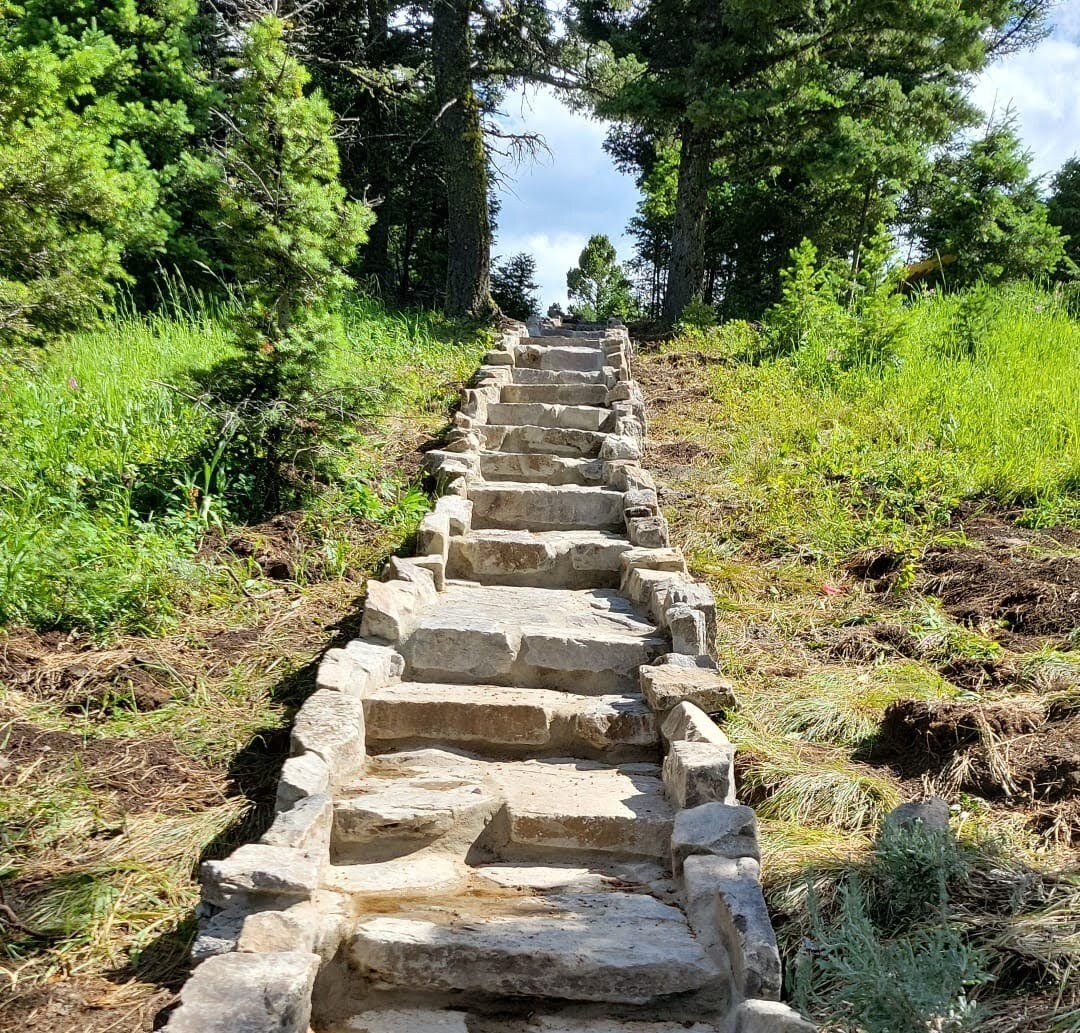 A set of stone stairs leading up a hill in the woods.