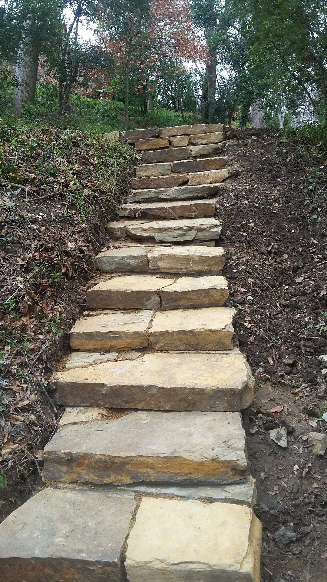 A set of stone stairs leading up a hill in the woods.