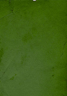 Arboricultural Consultancy