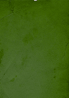 Planning Consultancy