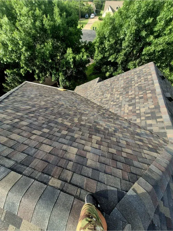 View from a roof showing asphalt shingles with brown, gray, and beige tones, surrounded by trees.