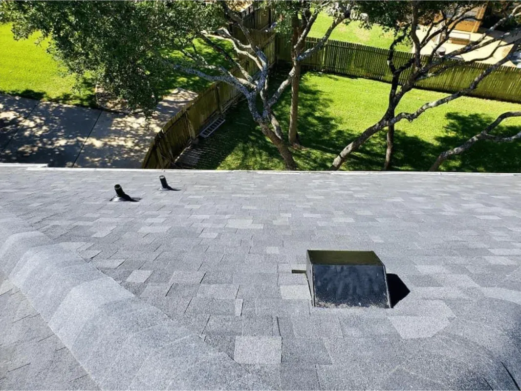 Gray shingle roof with a vent and two birds; view of backyard, green grass, and trees.
