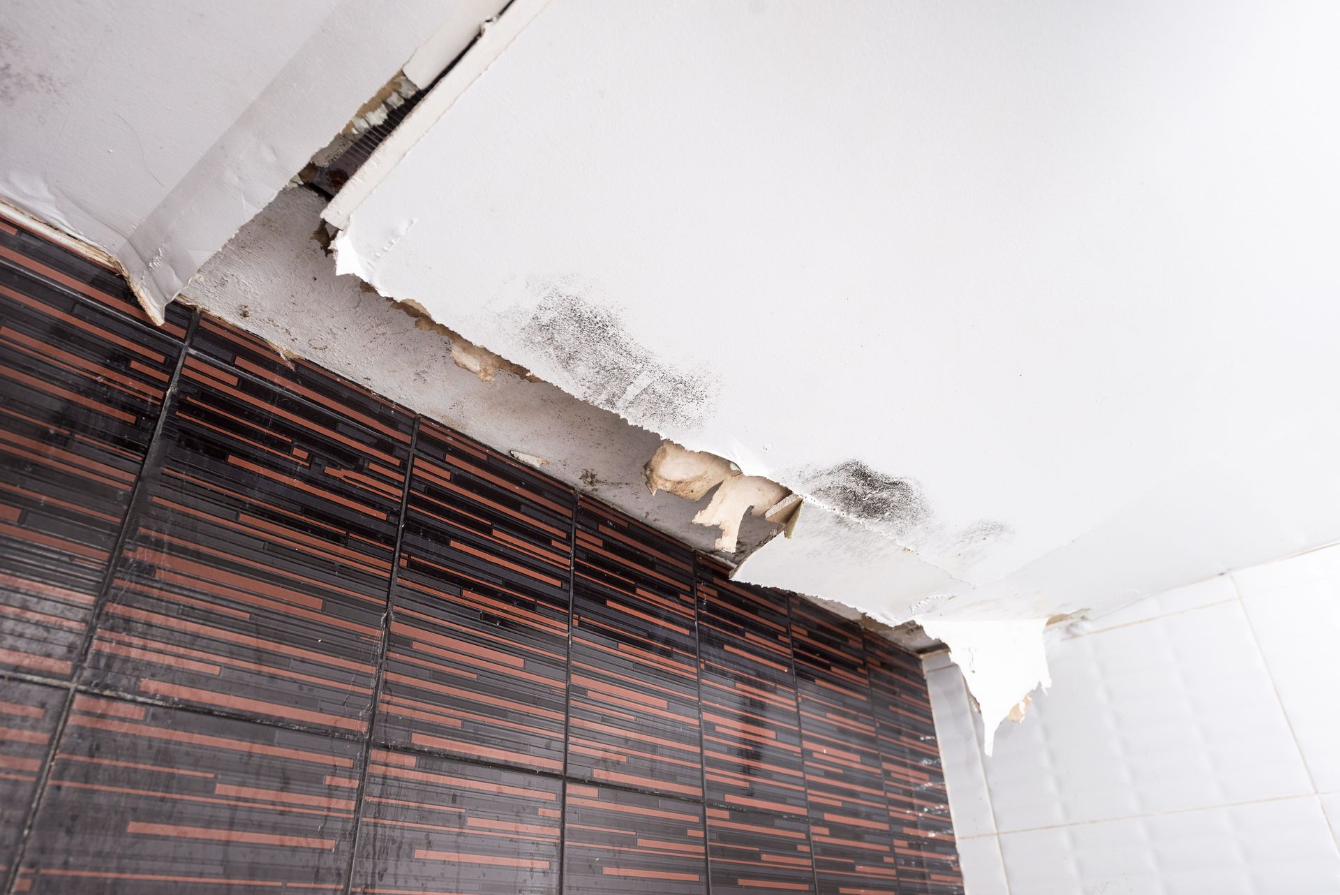 Damaged ceiling and wall with peeling paint, showing water damage and possible mold.