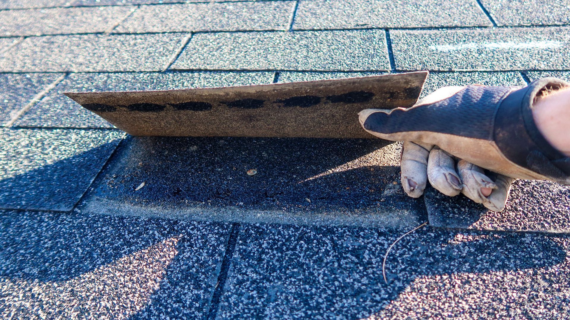 Gloved hand lifting asphalt roof shingle. The roof is multi-colored and in daylight.