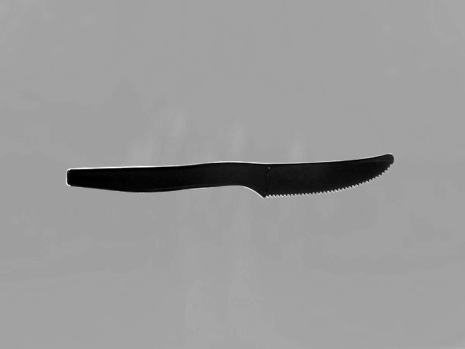 Plastic PP knife