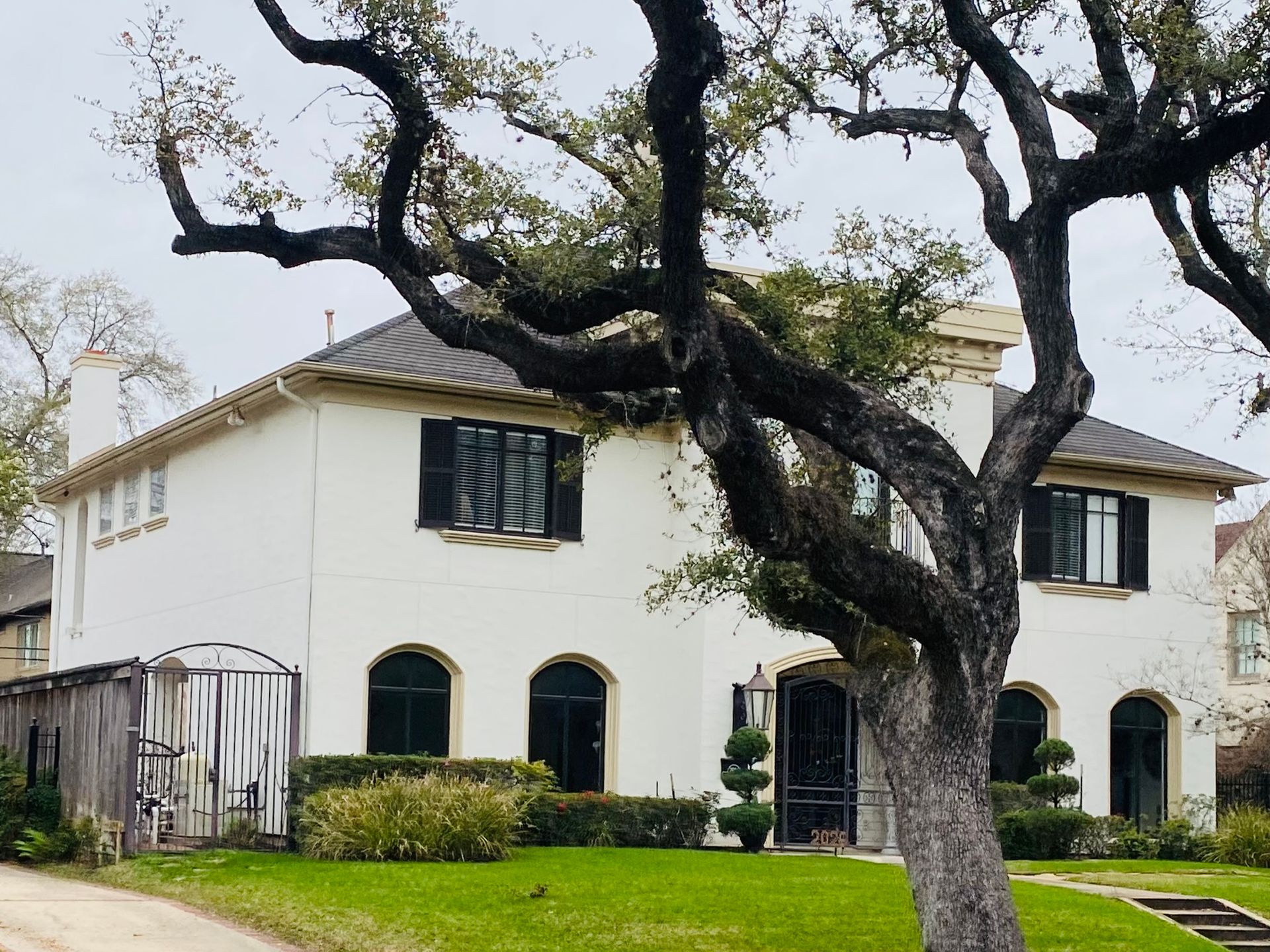 A white house with black shutters and a tree in front of it