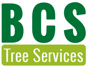 B C S Tree Services logo