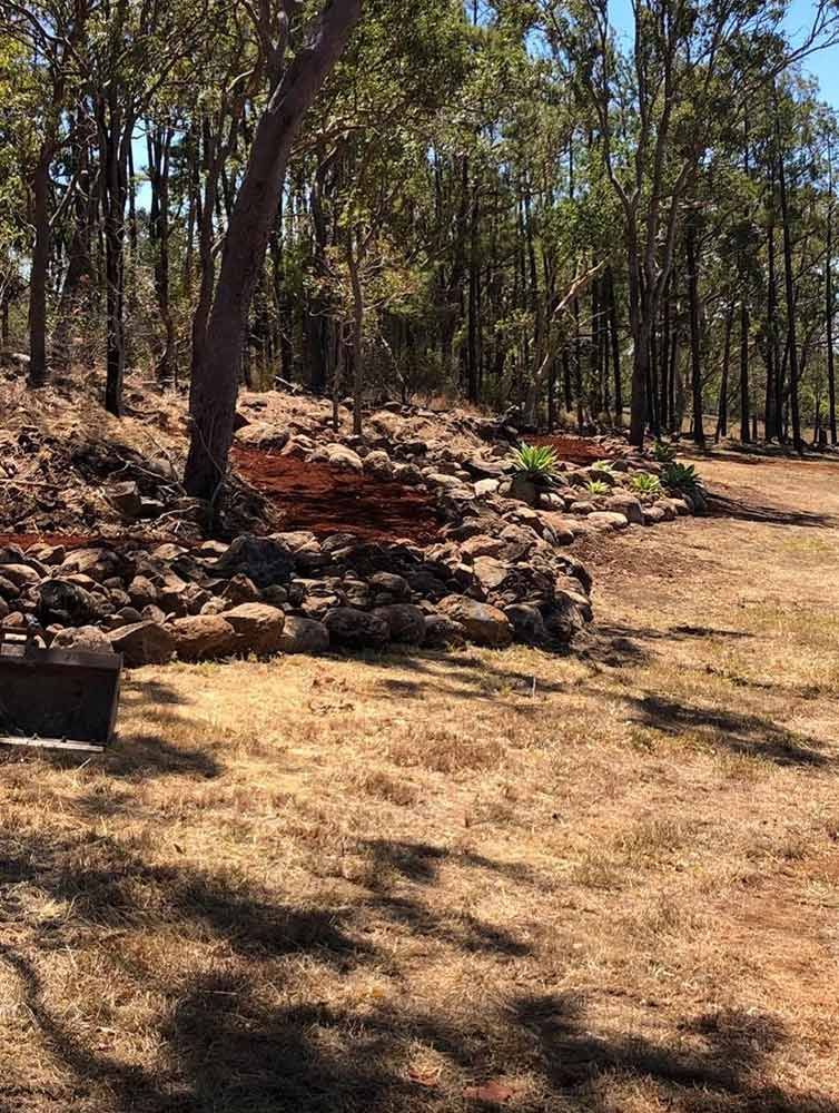 A Dry Grass Field in the Middle of a Forest With Trees in the Background — Blue Gum Earthworks in Atherton, QLD