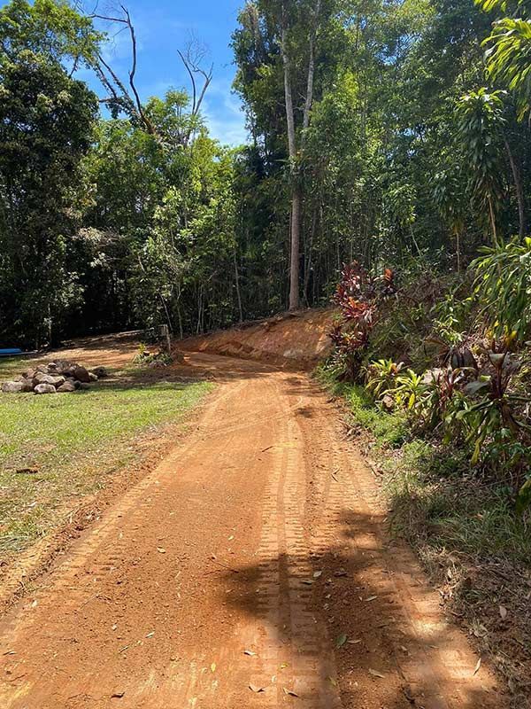 A Dirt Road Going Through a Forest With Trees on Both Sides — Blue Gum Earthworks in Atherton, QLD