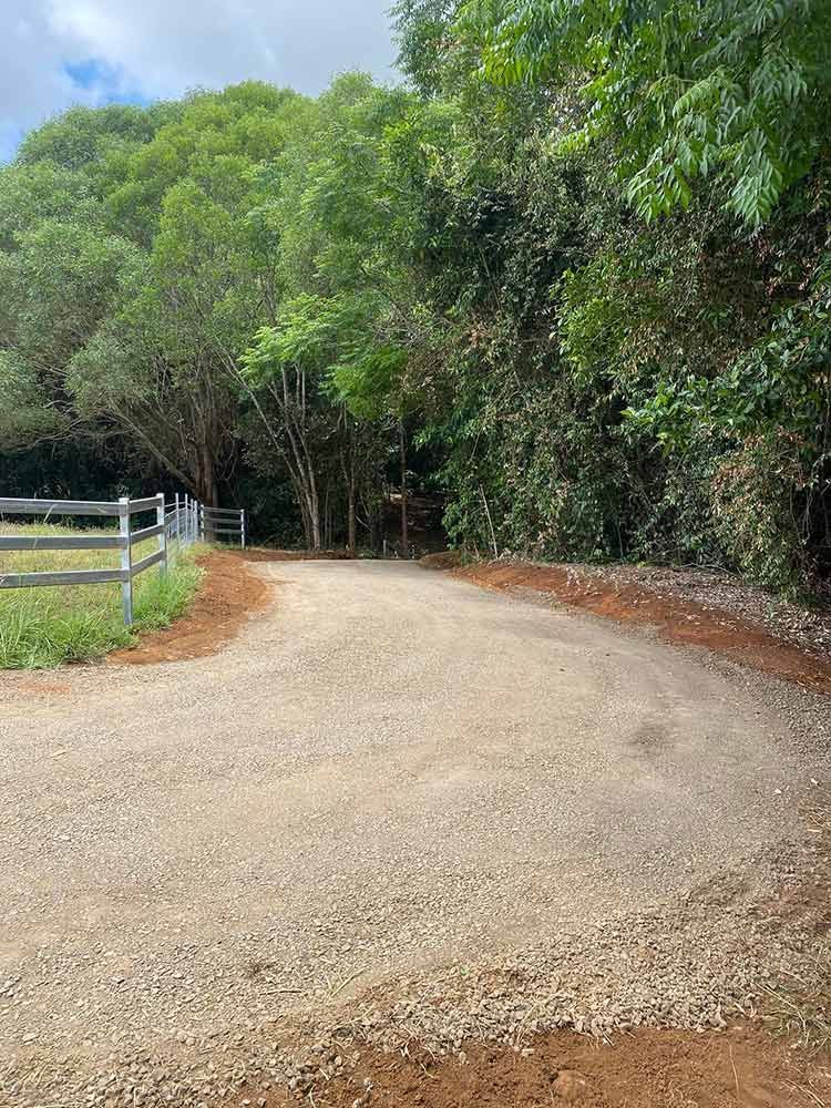 A Dirt Road Going Through a Forest With Trees on Both Sides — Blue Gum Earthworks in Atherton, QLD