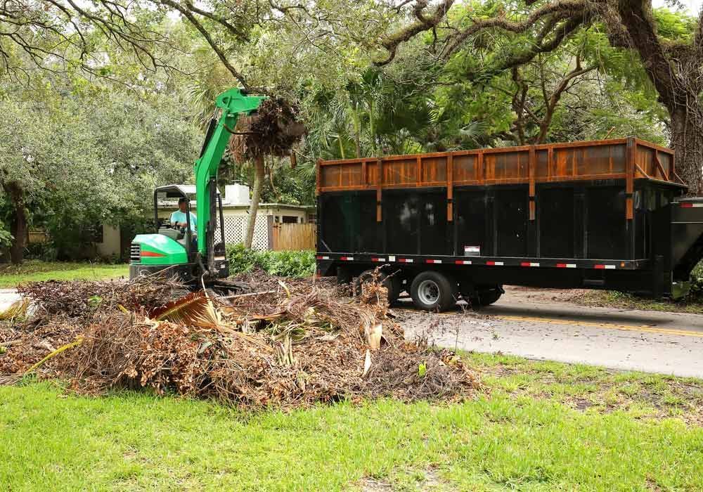 A Green Excavator is Moving a Tree Stump Next to a Dump Truck — Blue Gum Earthworks in Atherton, QLD