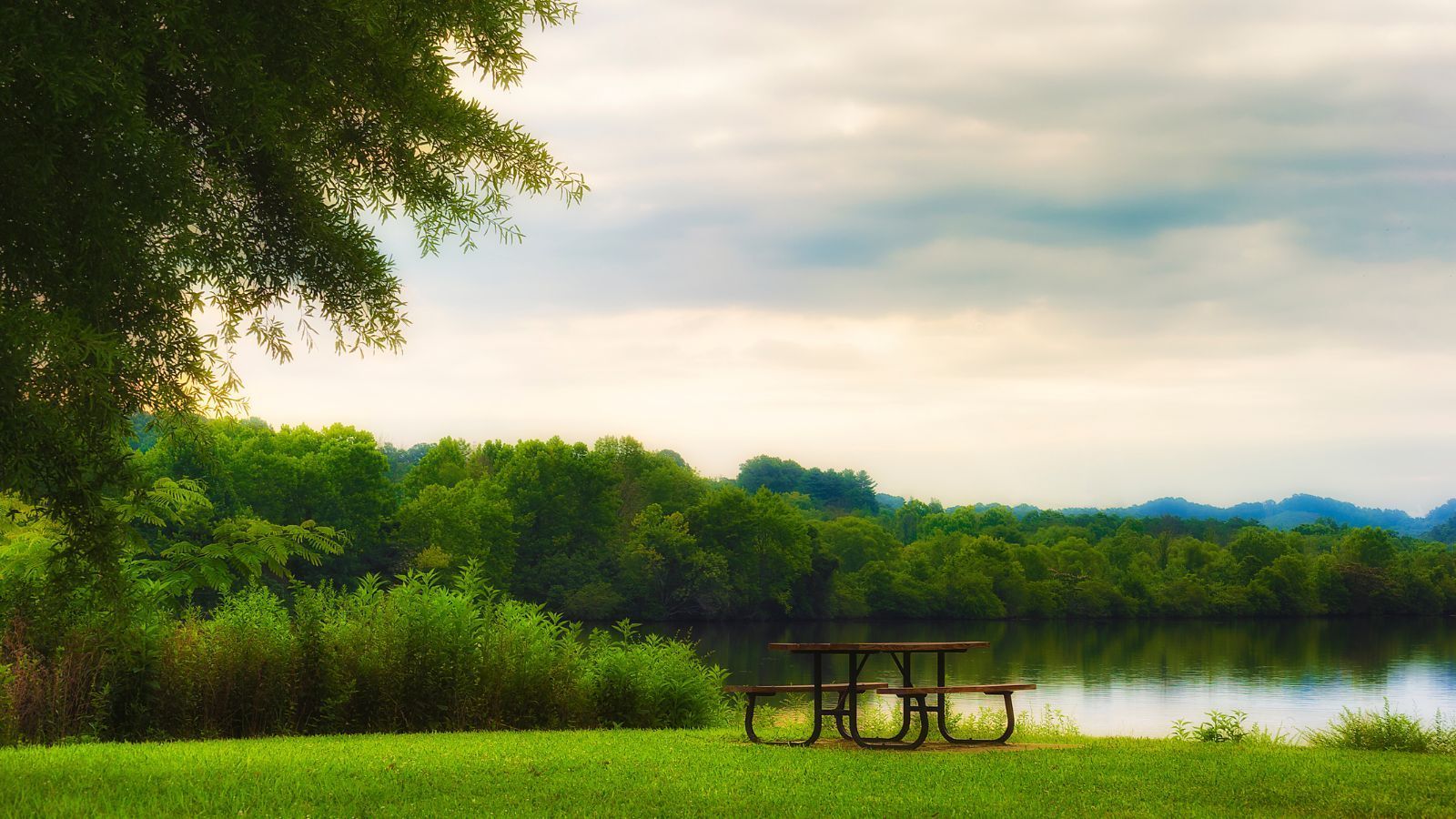 picnic table near a beautiful lake in TN