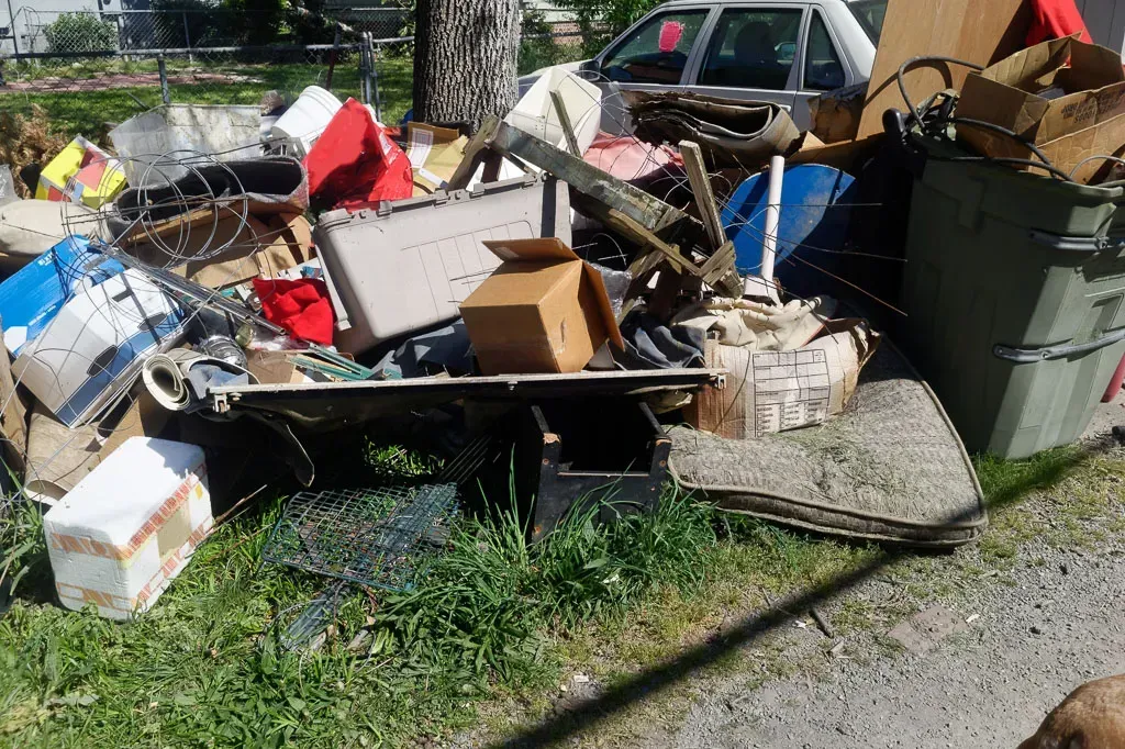 A dog is standing in front of a pile of garbage