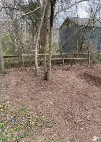 A wooden fence is surrounded by trees in a yard.