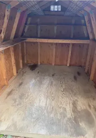 The inside of a wooden shed with shelves and a window.