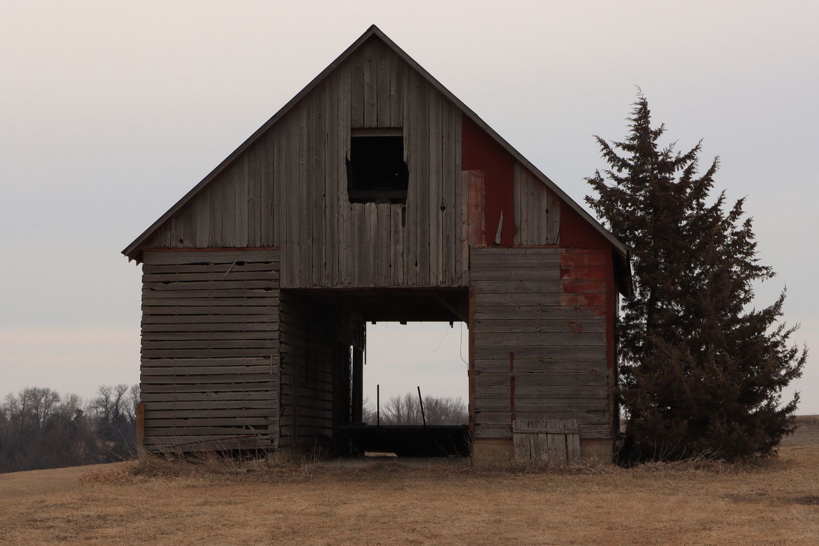 An old barn with the door open and a tree in the background