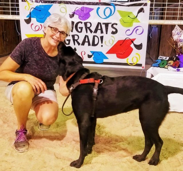 Behavior Modification Portfolio 02 in Harrisburg, NC