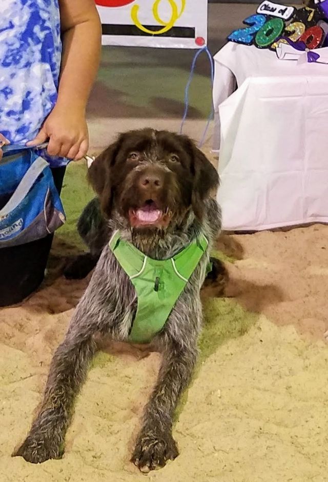 Behavior Modification Portfolio 01 in Harrisburg, NC