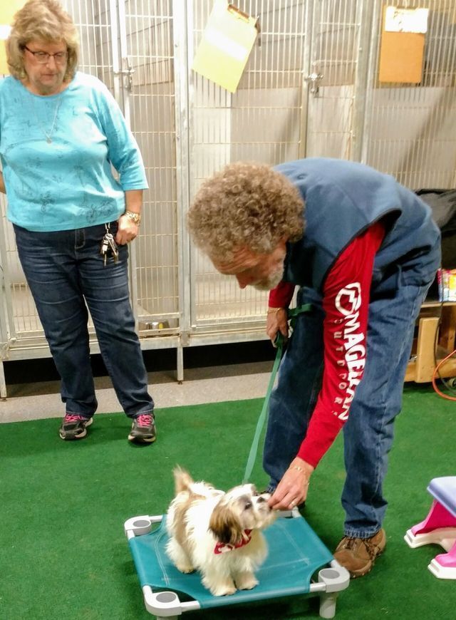 Dog Training Portfolio 04 in Harrisburg, NC