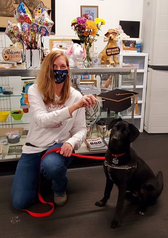 Dog Training Portfolio 01 in Harrisburg, NC