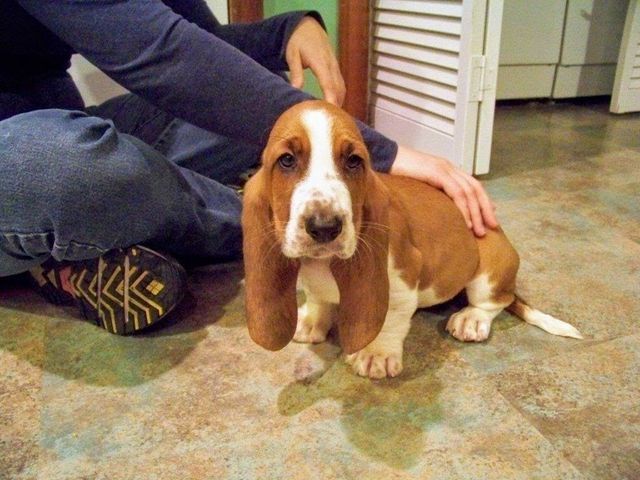 Private Training Portfolio 05 in Harrisburg, NC