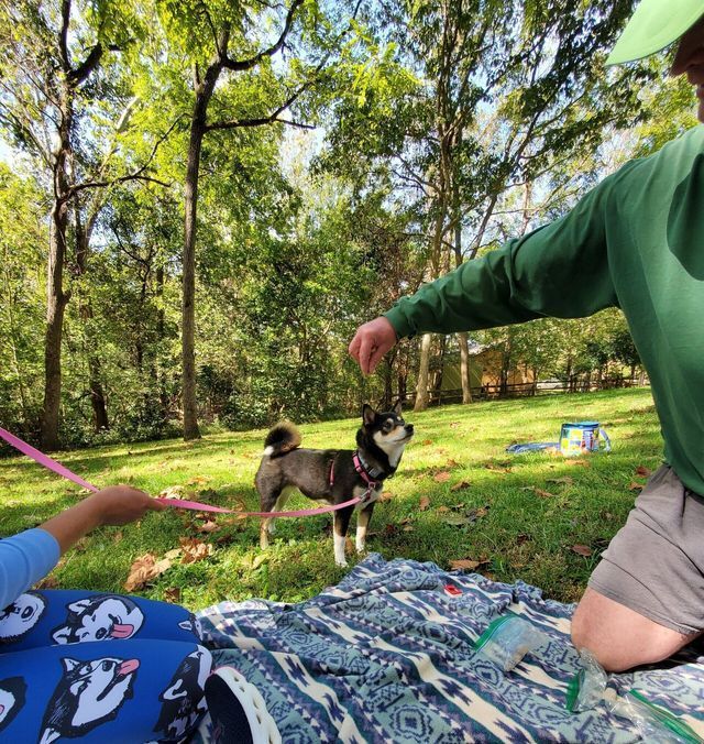 Private Training Portfolio 06 in Harrisburg, NC