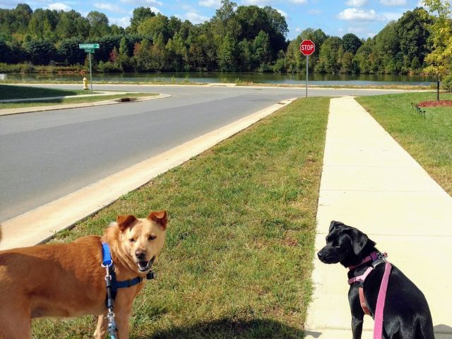 Private Training Portfolio 04 in Harrisburg, NC