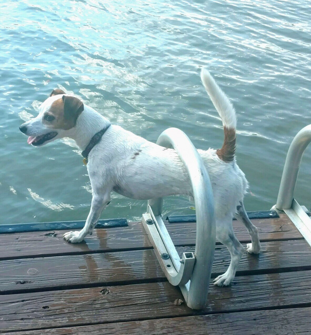 Private Training Portfolio 01 in Harrisburg, NC