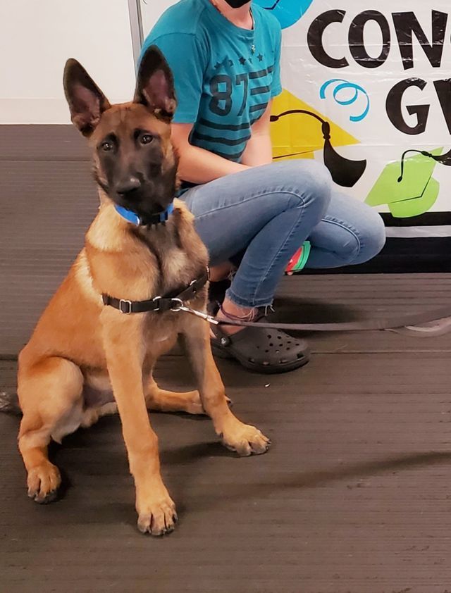 Group Classes Portfolio 04 in Harrisburg, NC