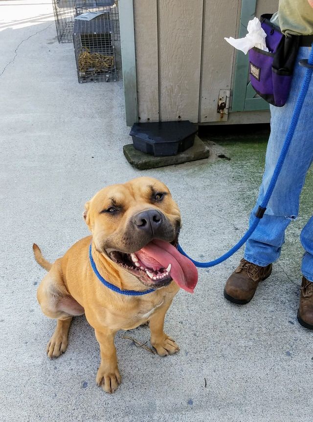 Group Classes Portfolio 02 in Harrisburg, NC