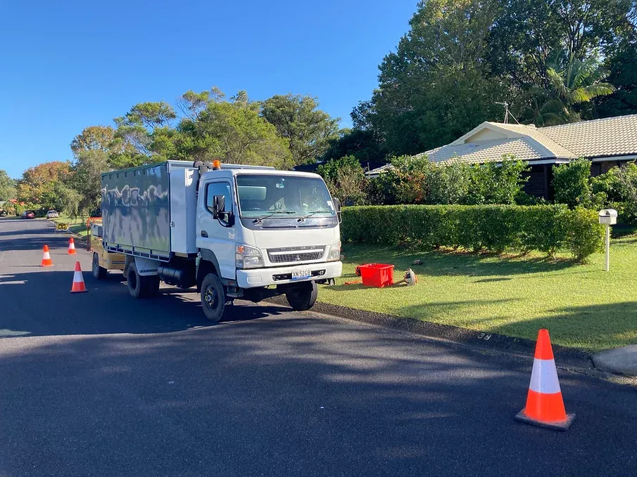 Tree Inspecting Service  — Tree Services in Byron Bay