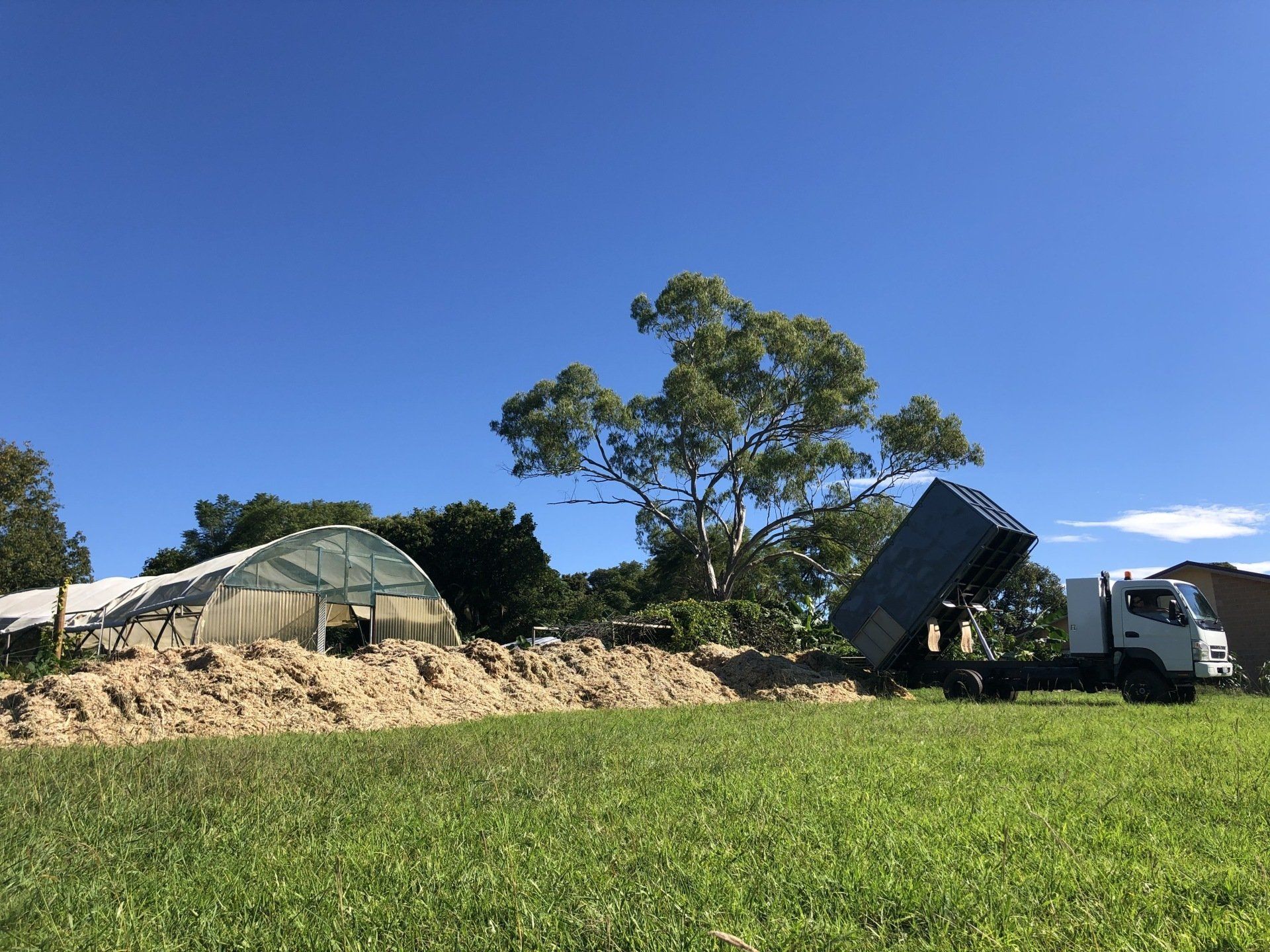 Loading Mulch  — Tree Services in Byron Bay
