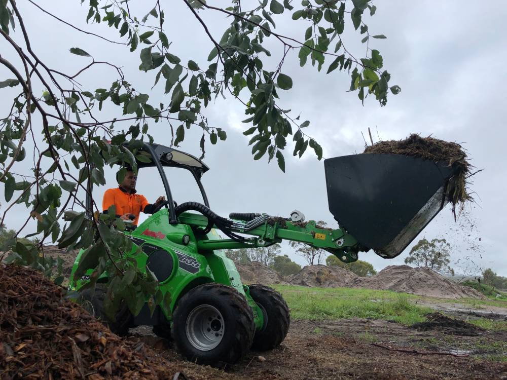 Tree Removal in Tyagarah 2 — Tree Services in Byron Bay