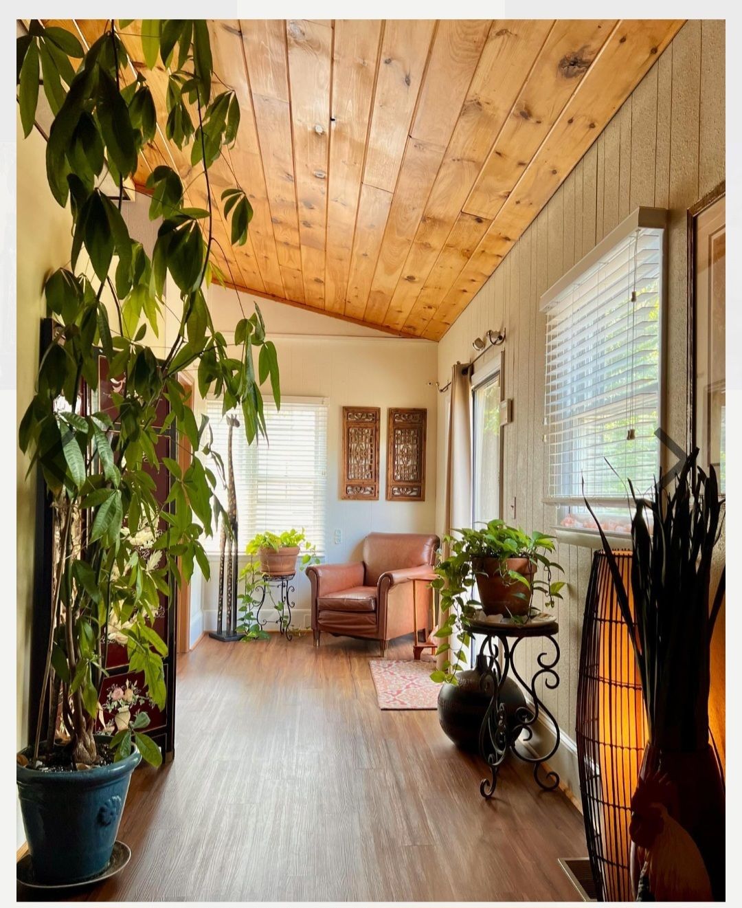 A living room with a wooden ceiling and lots of potted plants