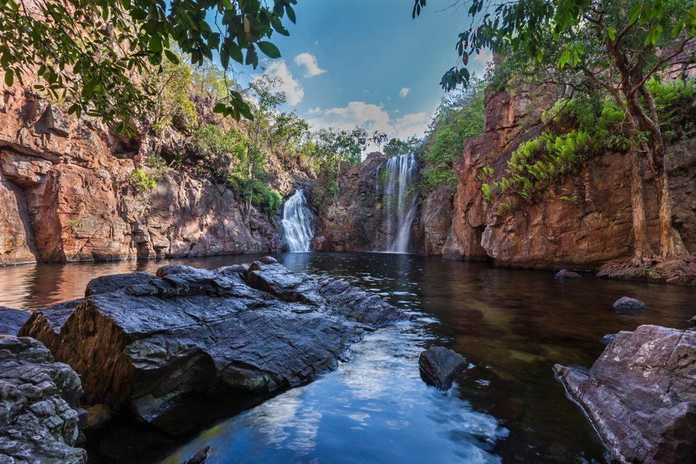 Serene view of a tree standing in the river by the ocean — Professional Scrap Metal Recycling in Darwin, NT