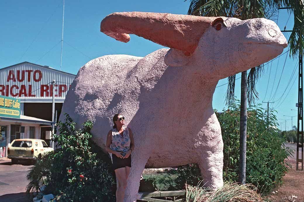 Scenic view featuring trees, a river, and lush lawn grass — Professional Scrap Metal Recycling in Winnellie, NT