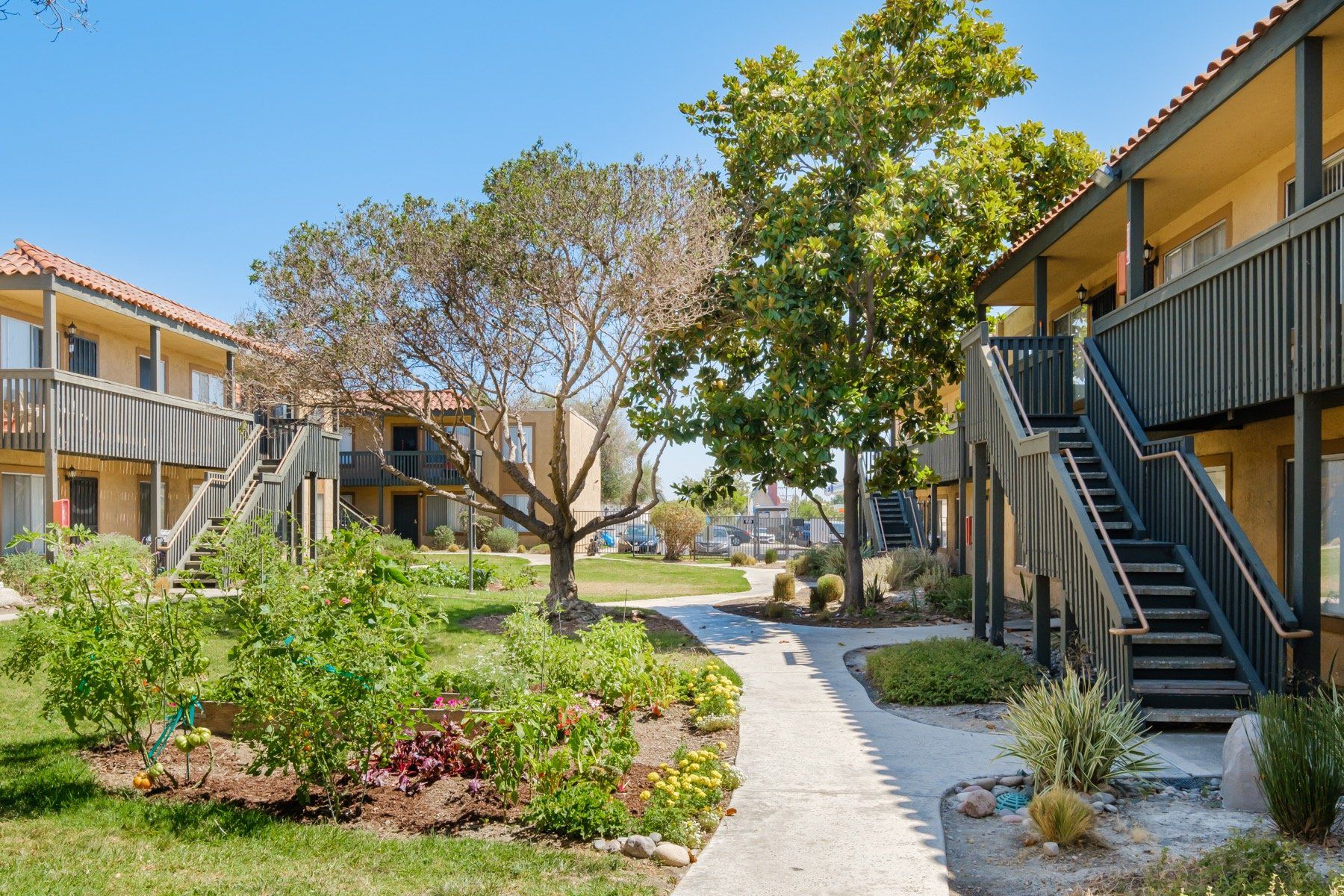 Garden area outside of apartment