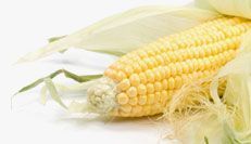 coeur de maïs