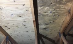 Décontamination suie