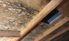 Décontamination suie