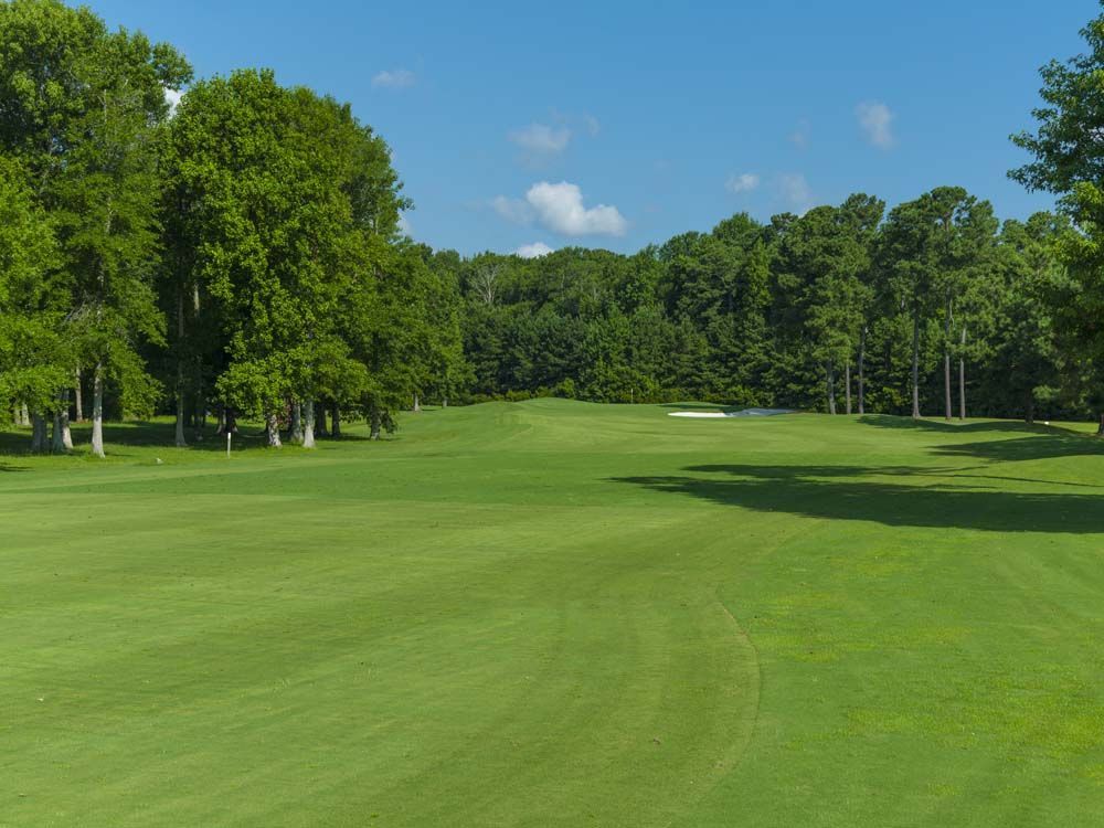 Green golf course under a bright blue sky, surrounded by trees.