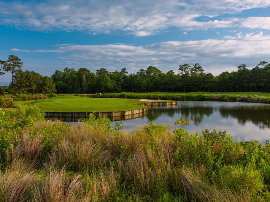 Golf green surrounded by water and tall grass under a blue sky. Trees line the background.