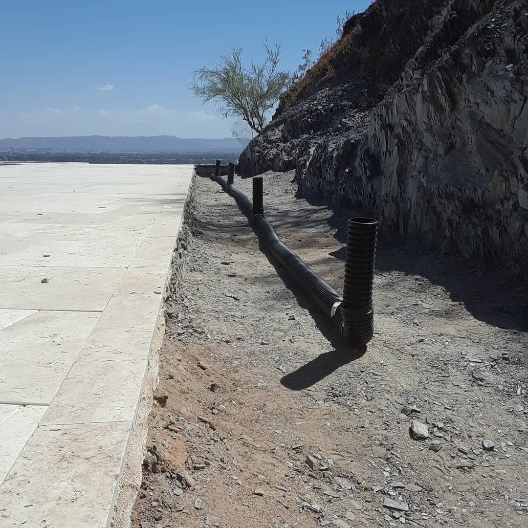 A concrete walkway with a tree in the background