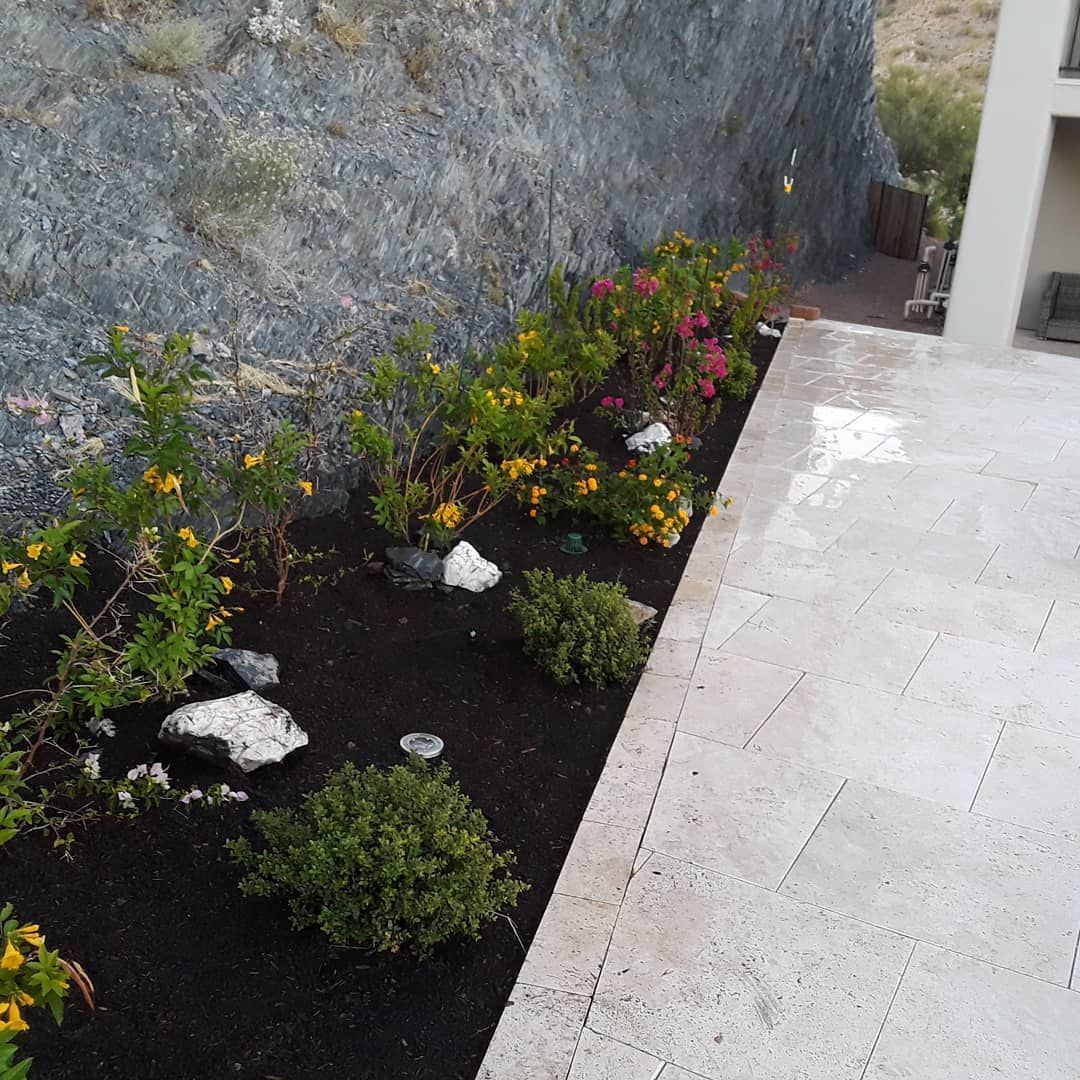 A garden with flowers and rocks on the side of a building