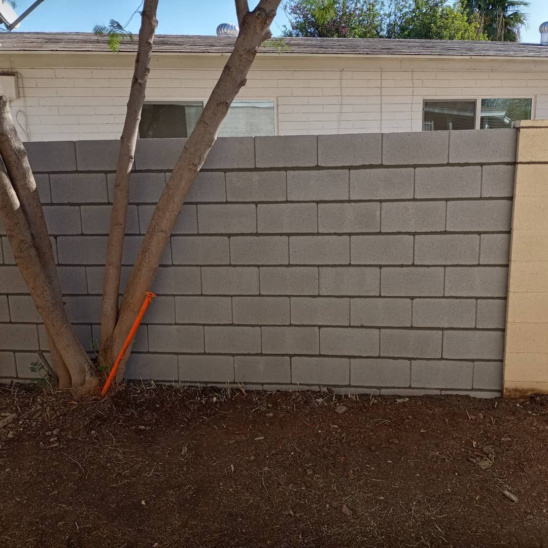 A brick wall with a tree growing out of it in front of a house.