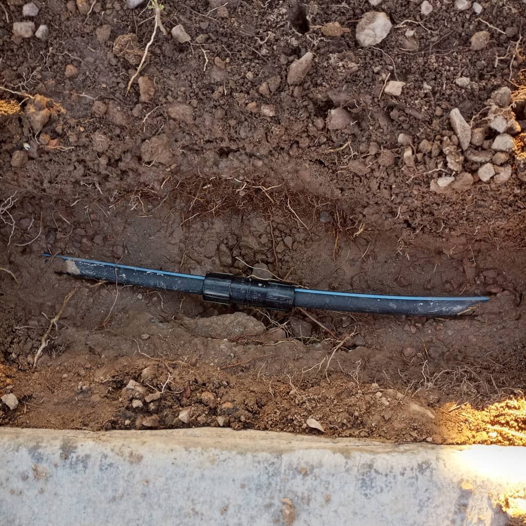 A hose is laying in the dirt next to a concrete curb.